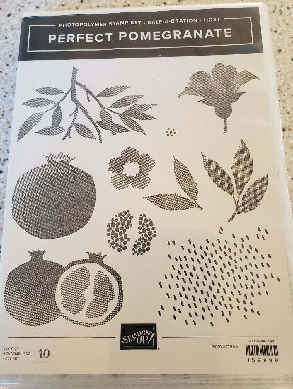 Perfect Pomegranate Photopolymer Stamp Set By Stampin Up